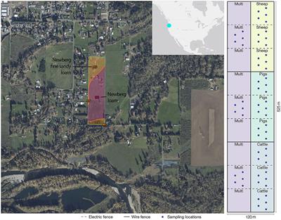 One or many? Multi-species livestock grazing influences soil microbiome community structure and antibiotic resistance potential